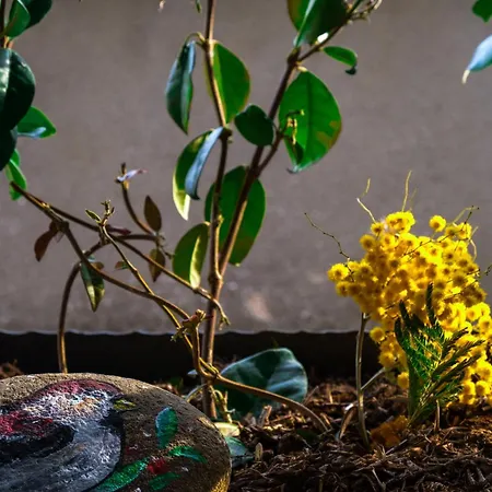 Dimora Del Passaggio Castiglion Fiorentino